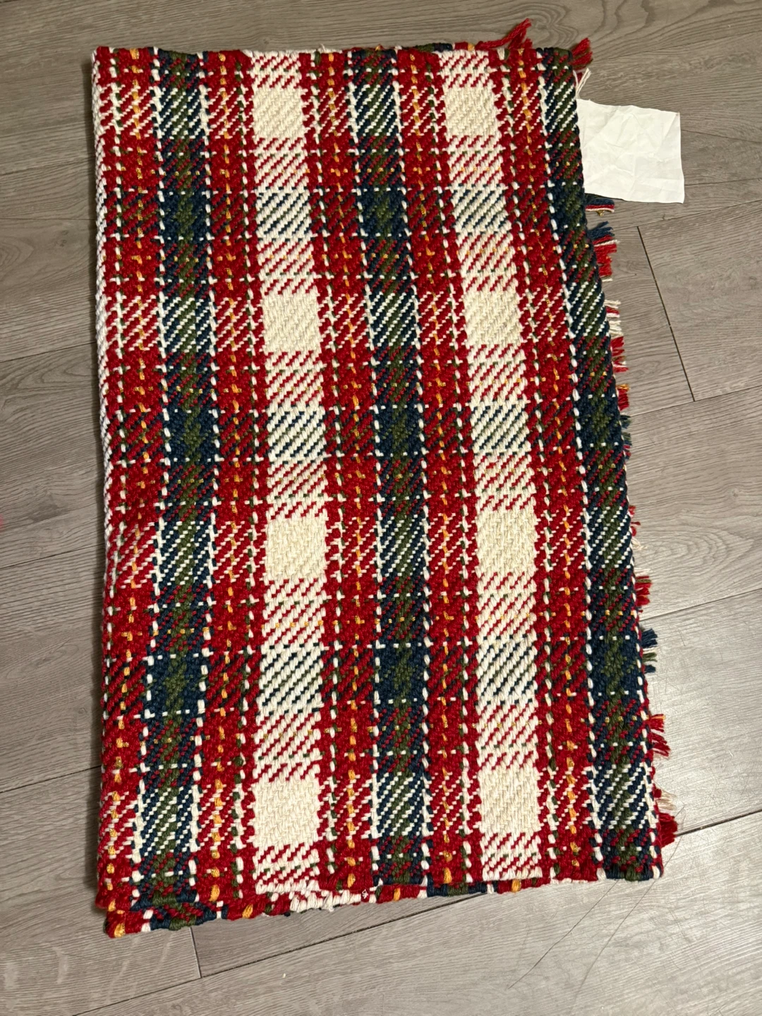 Devgiri Exports Corin Plaid Rug