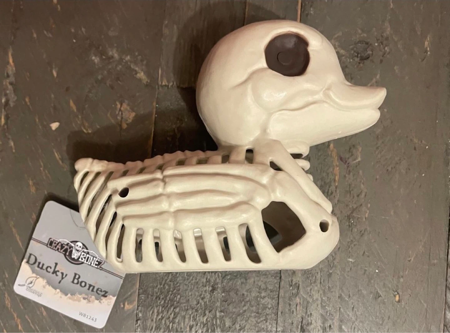 NEW-plastic Halloween Skeleton Duck- faux- Crazy Bonez