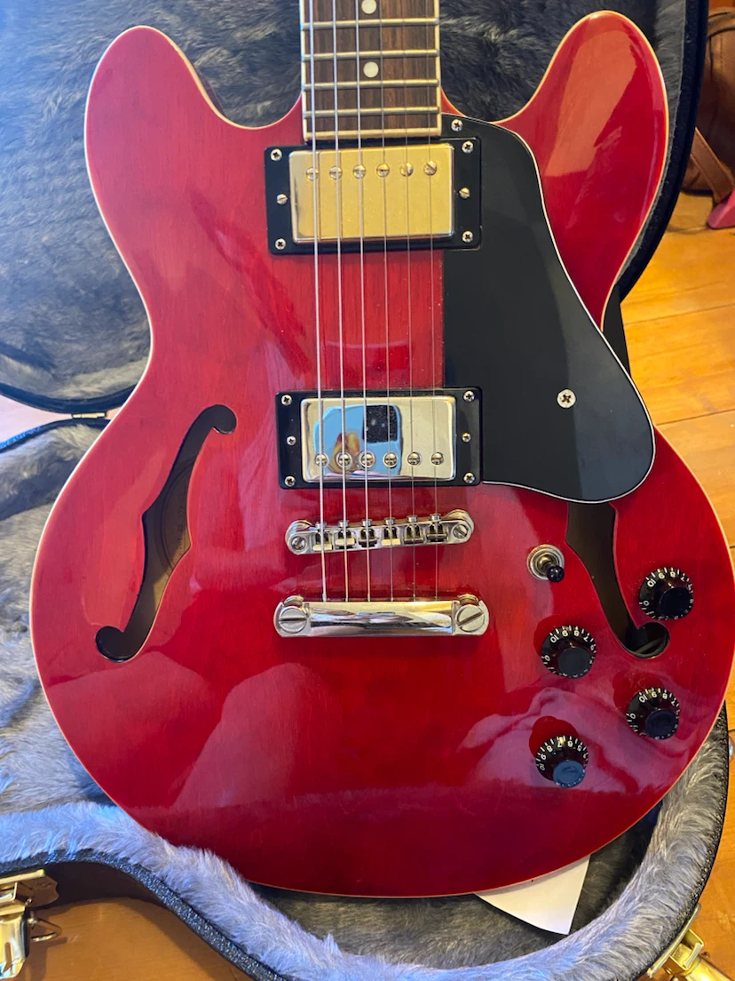 Epiphone ES-335 - photo 2