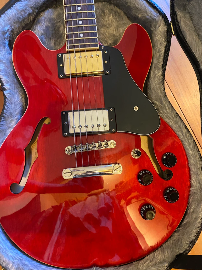 Epiphone ES-335 - photo 3