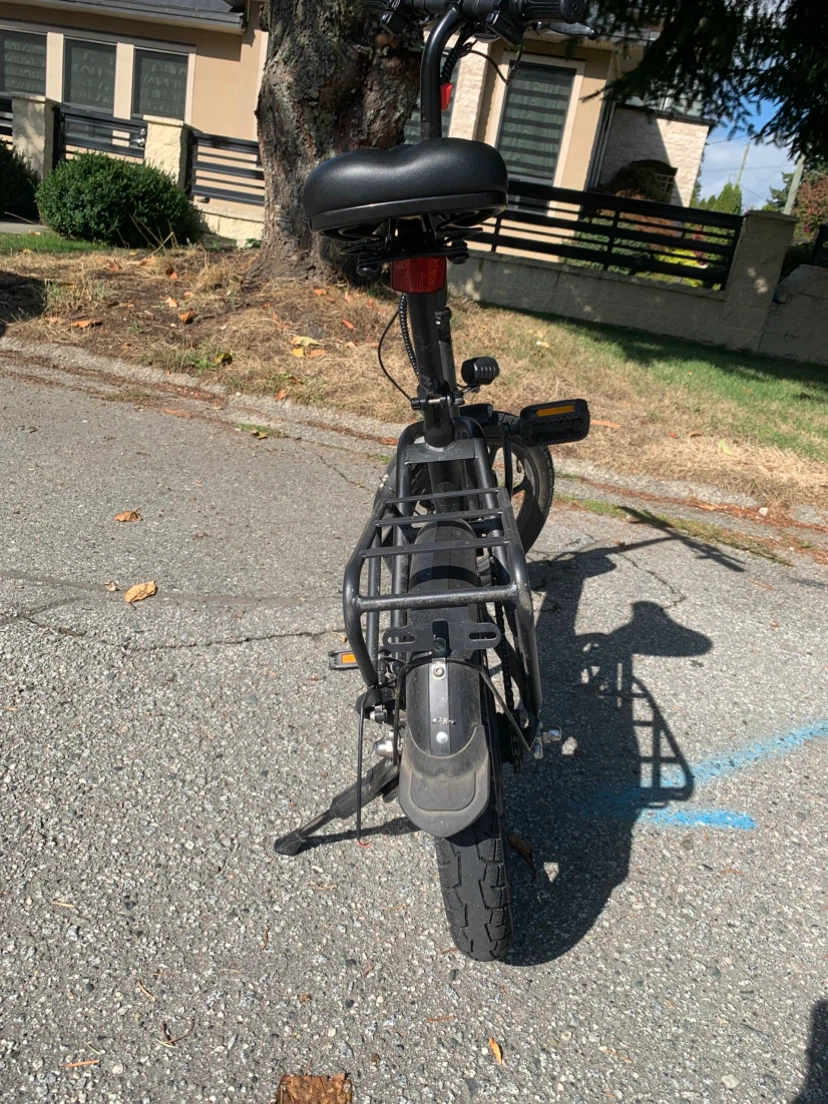 Blutron Folding Electric Bicycle