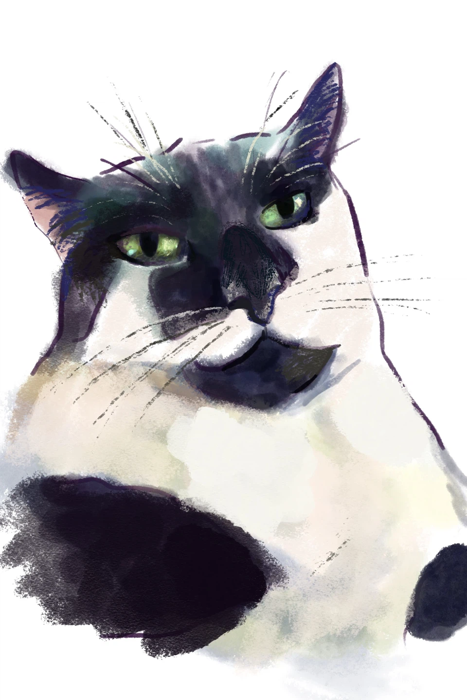 Cat commissions from a college student - photo 3