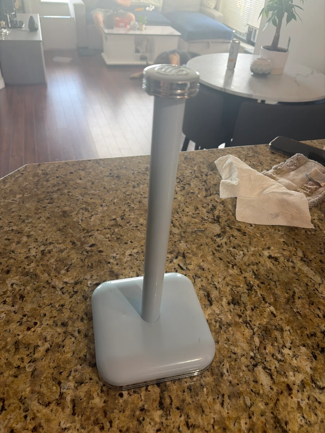vintage Paper towel holder