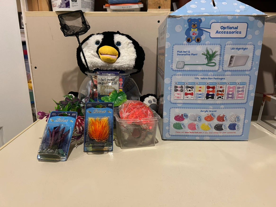 Beta fish complete set - photo 2