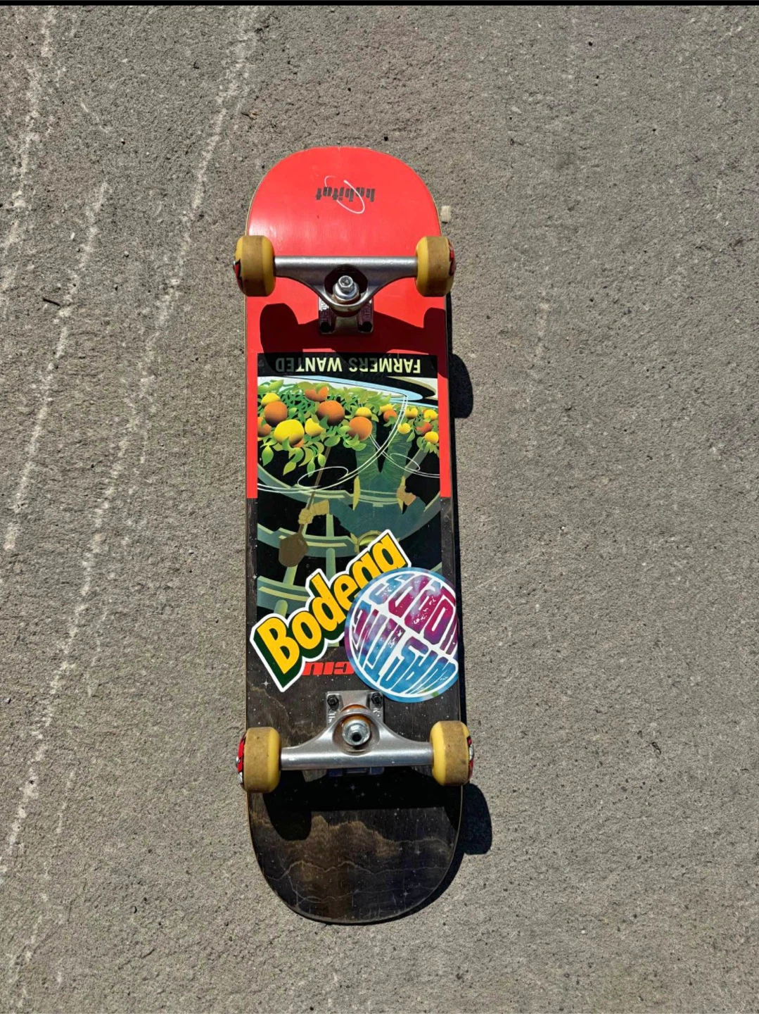 Habitat Skateboard with Spitfire Wheels