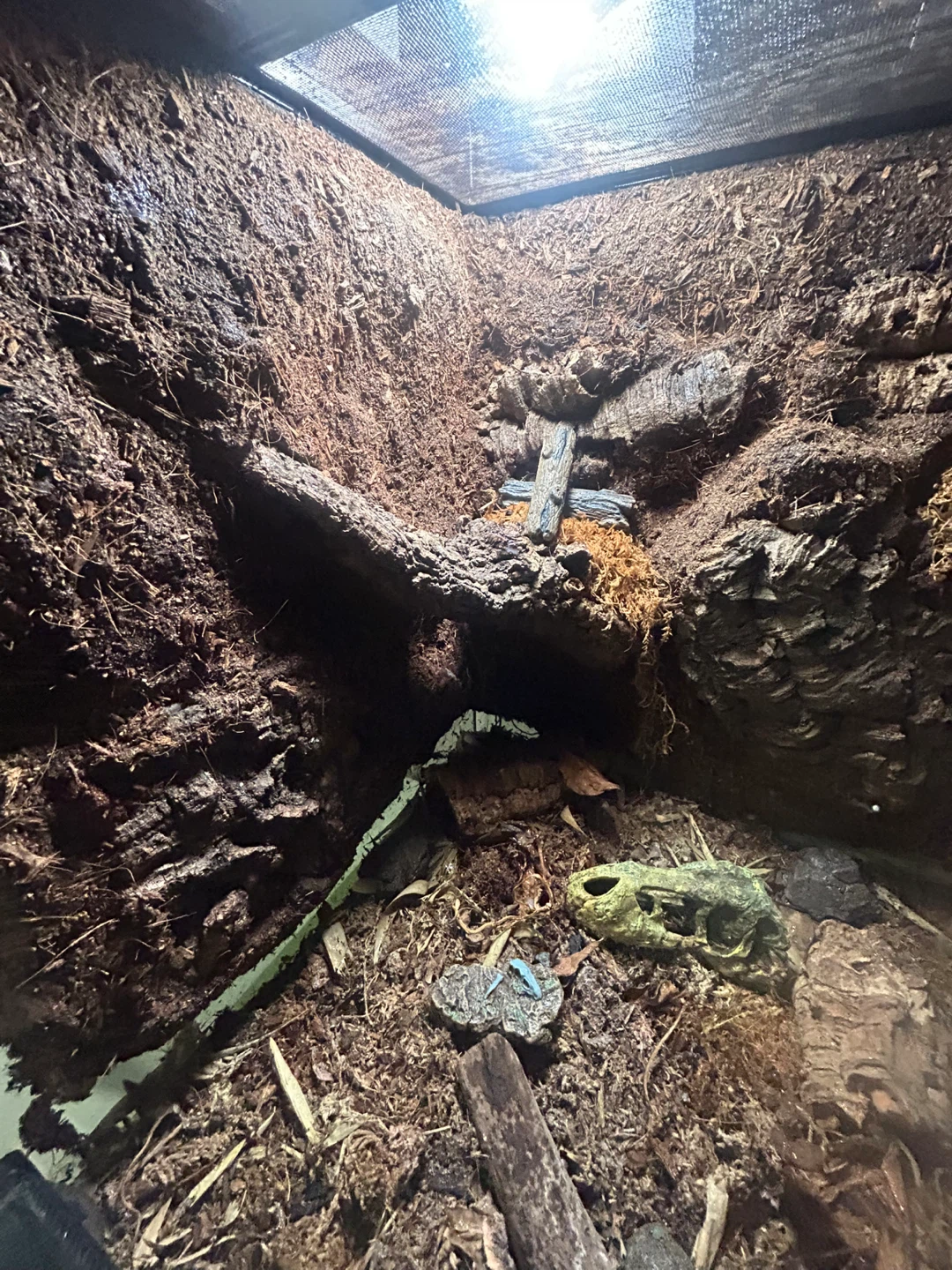 A animal enclosure - photo 4