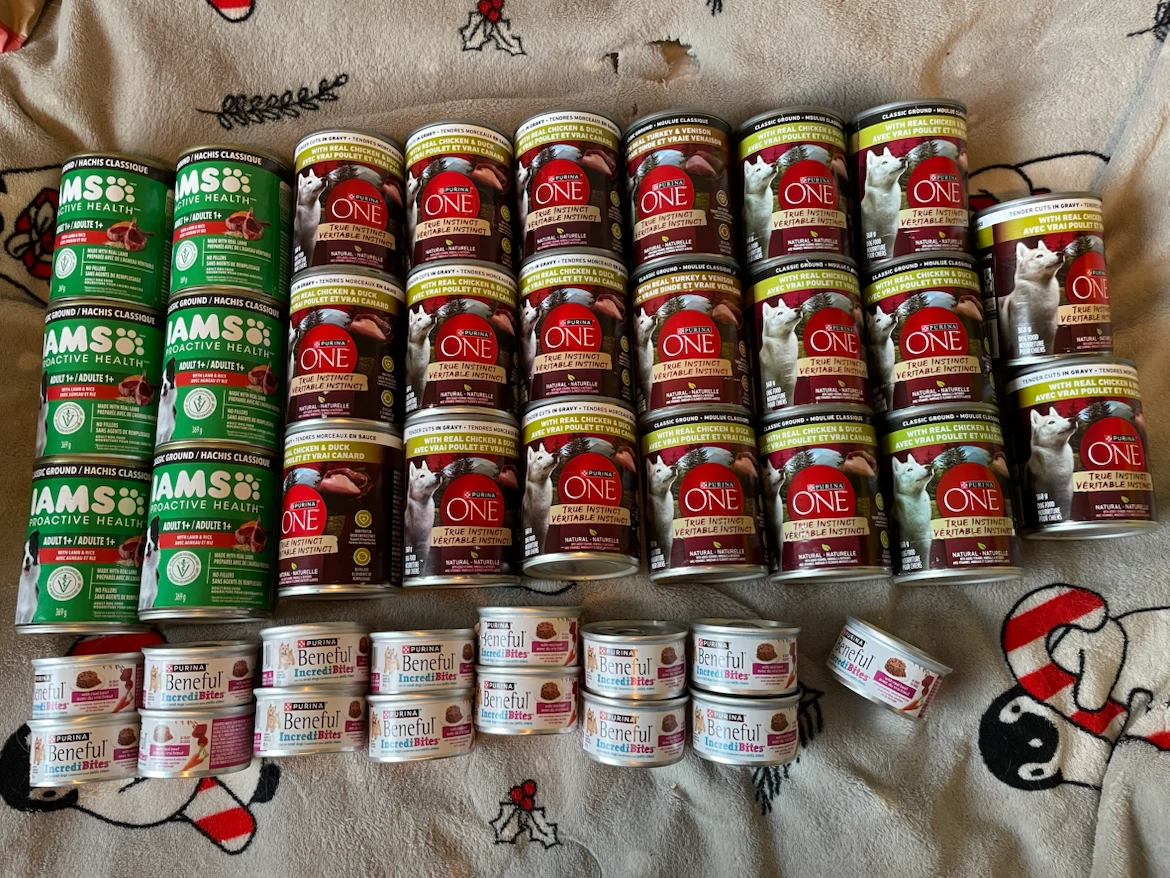 Huge Wet Dog Food Lot