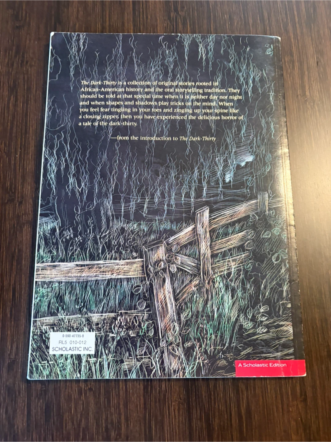 The Dark-Thirty by Patricia C. McKissack - photo 2