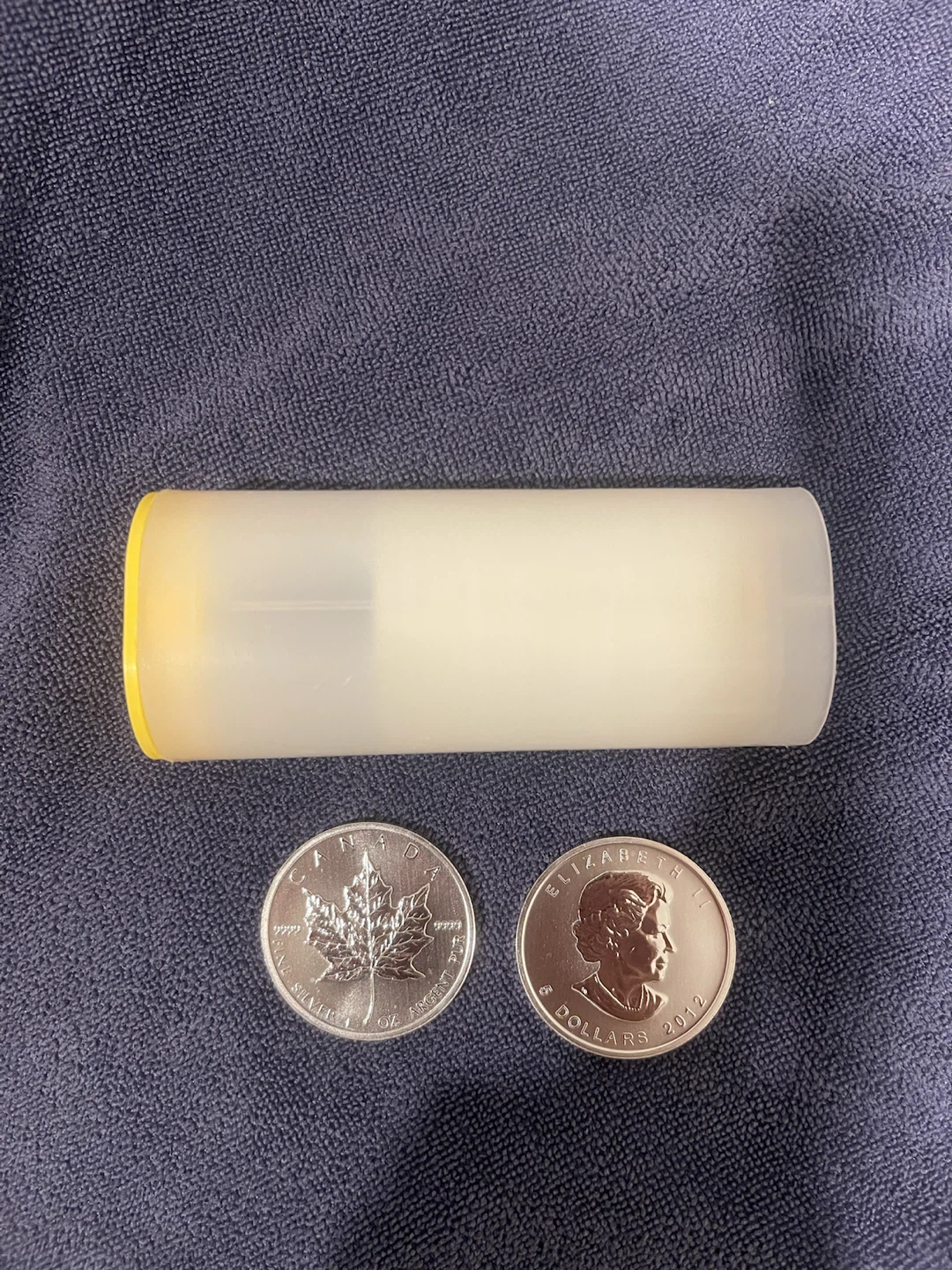 Canadian Silver Maple Leaf SML Coins