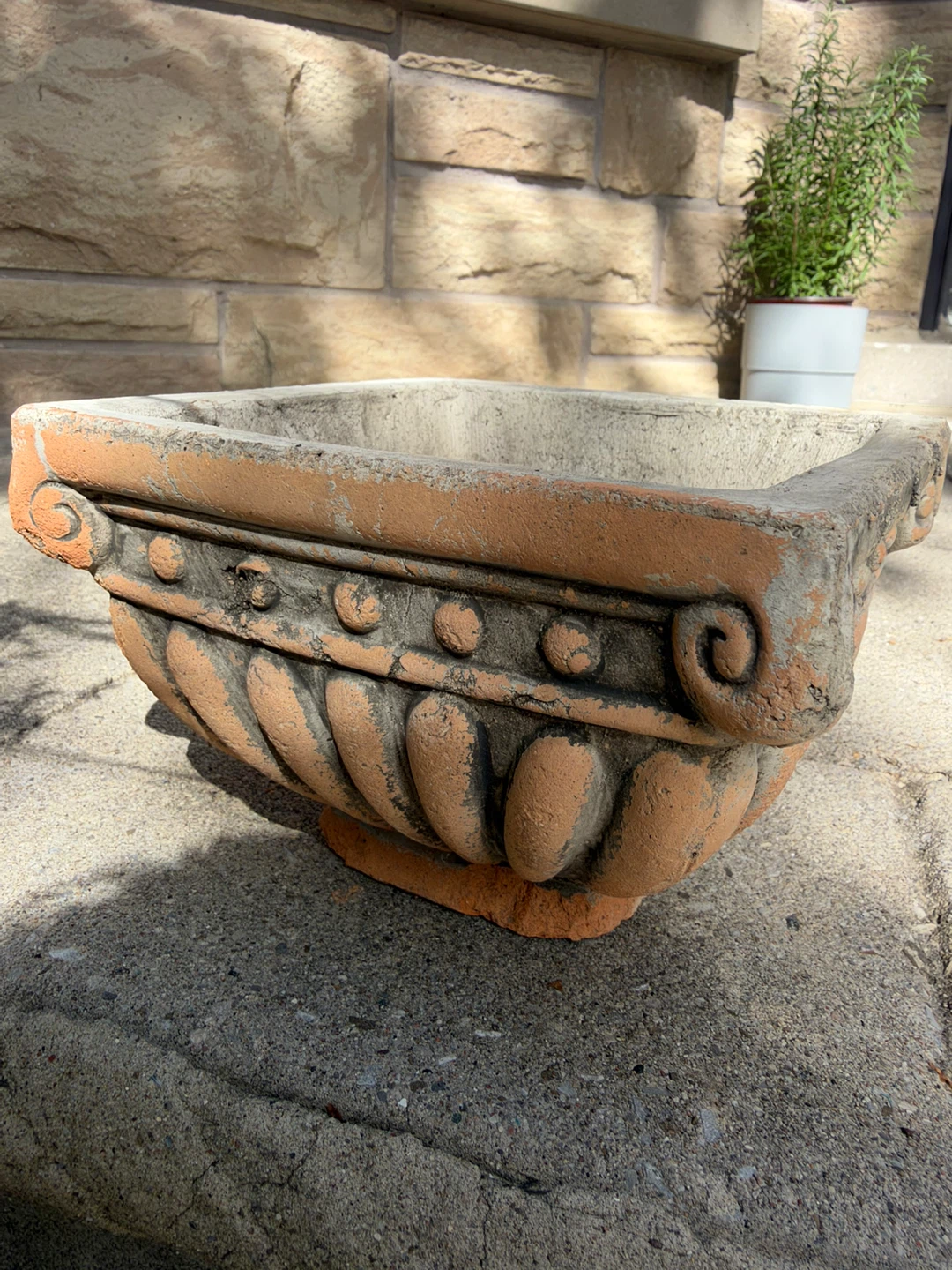 Rustic Concrete Planter