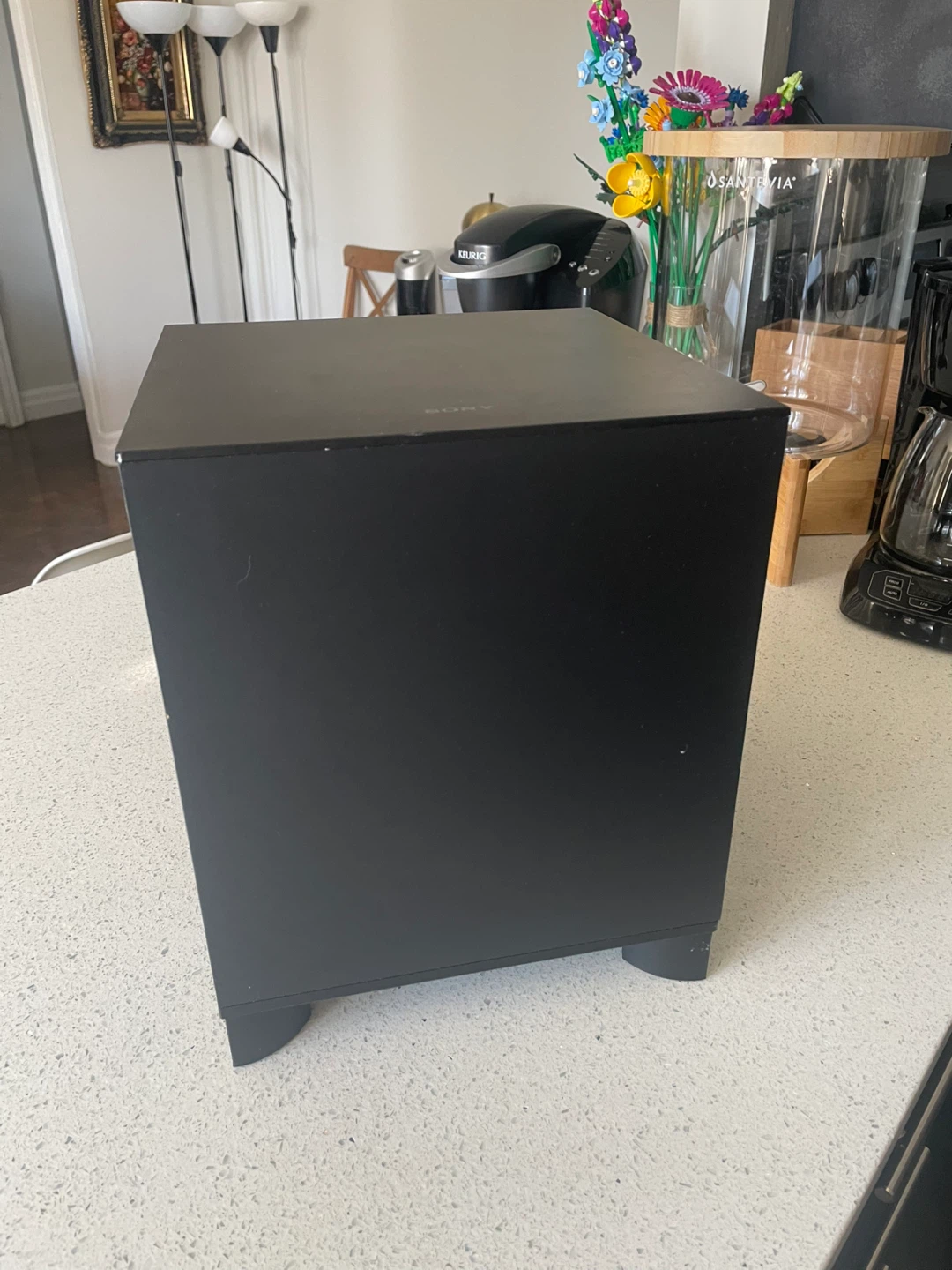 Sony SS-WSB101 Subwoofer - photo 2