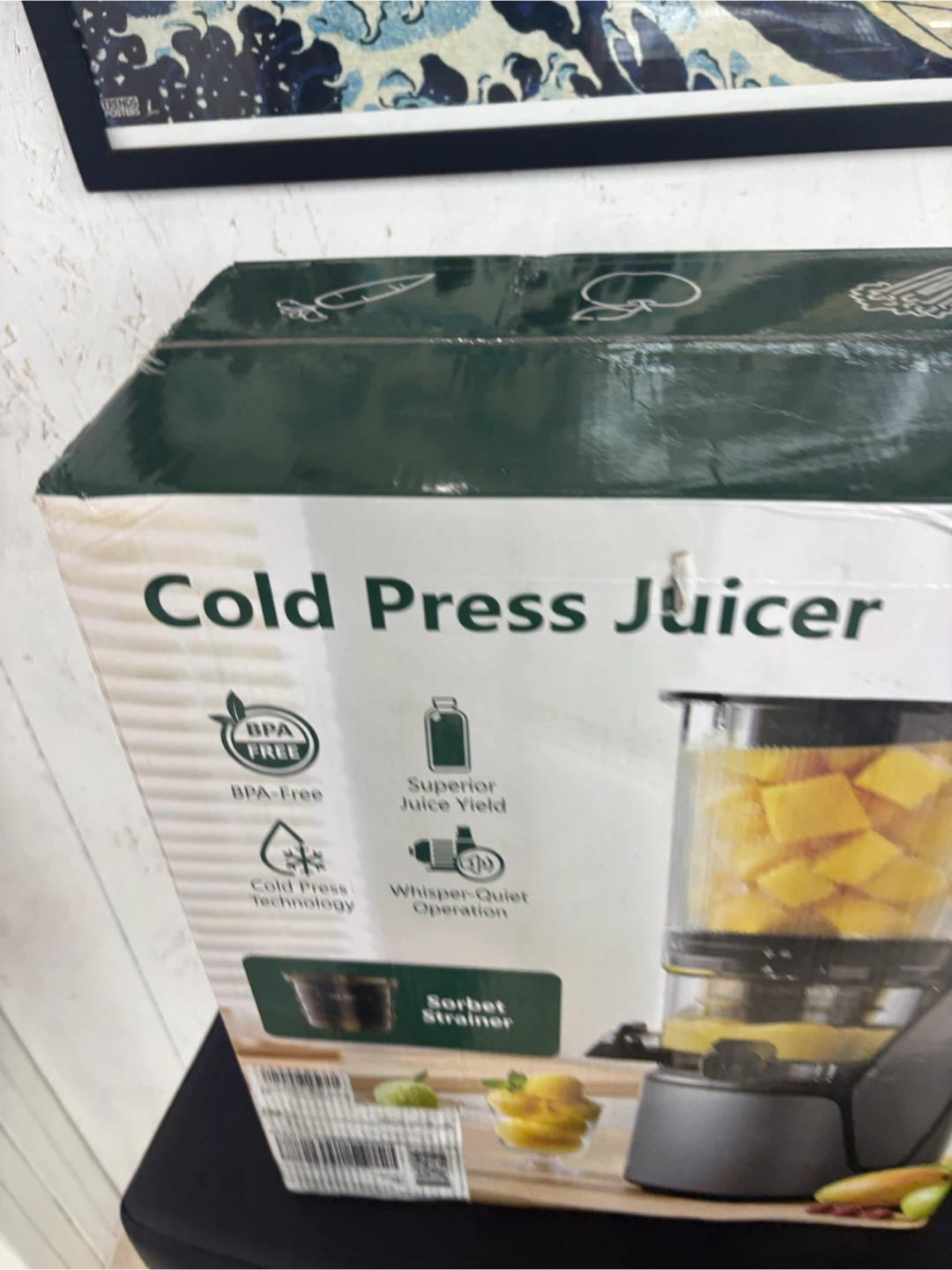 E-18 Cold Press Juicer - photo 5