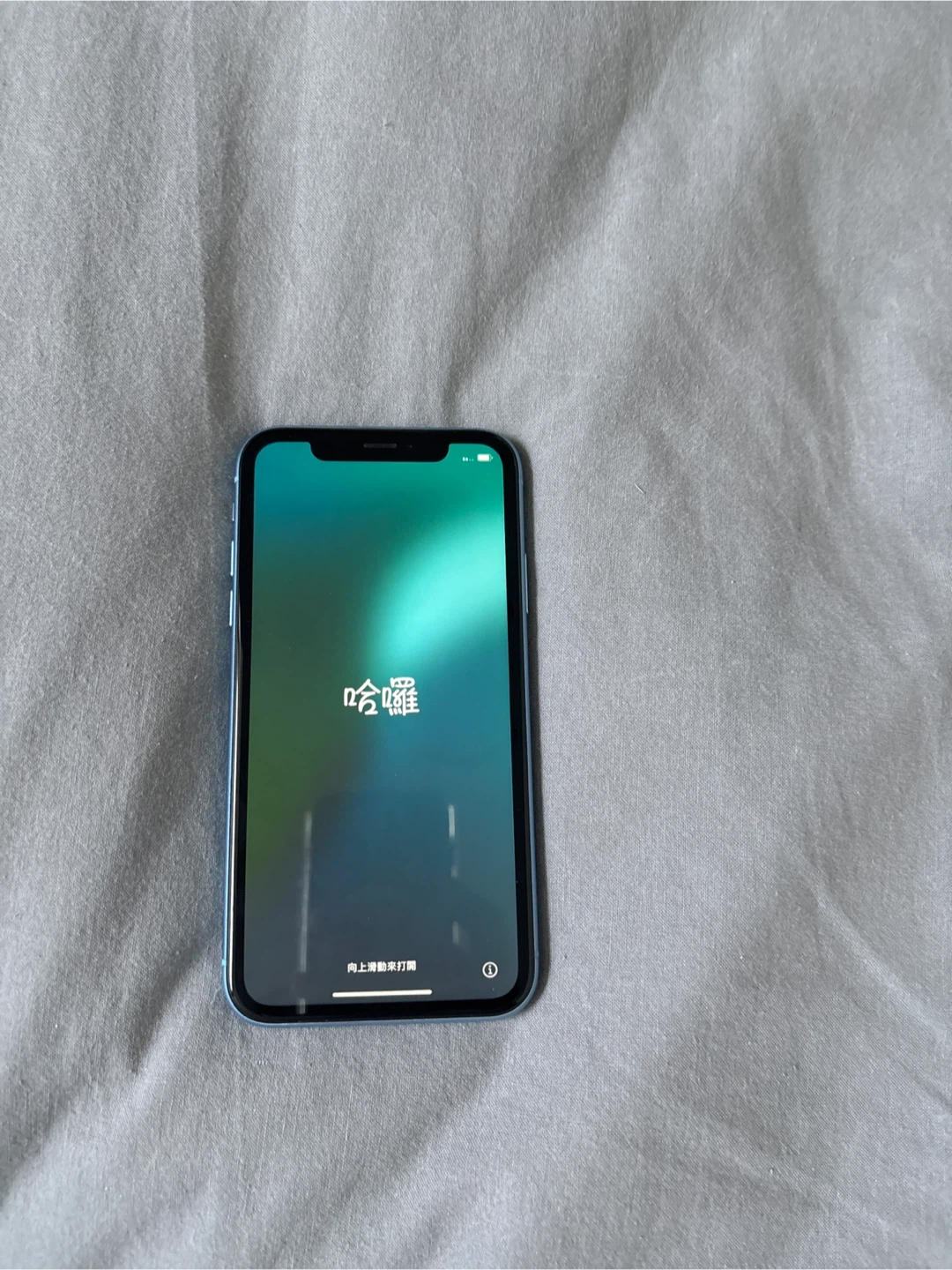 Blue Apple iPhone XR