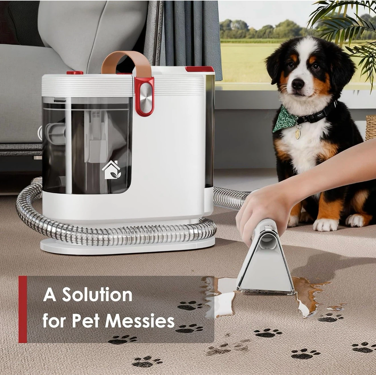 Portable Carpet and Upholstery Cleaner - photo 3