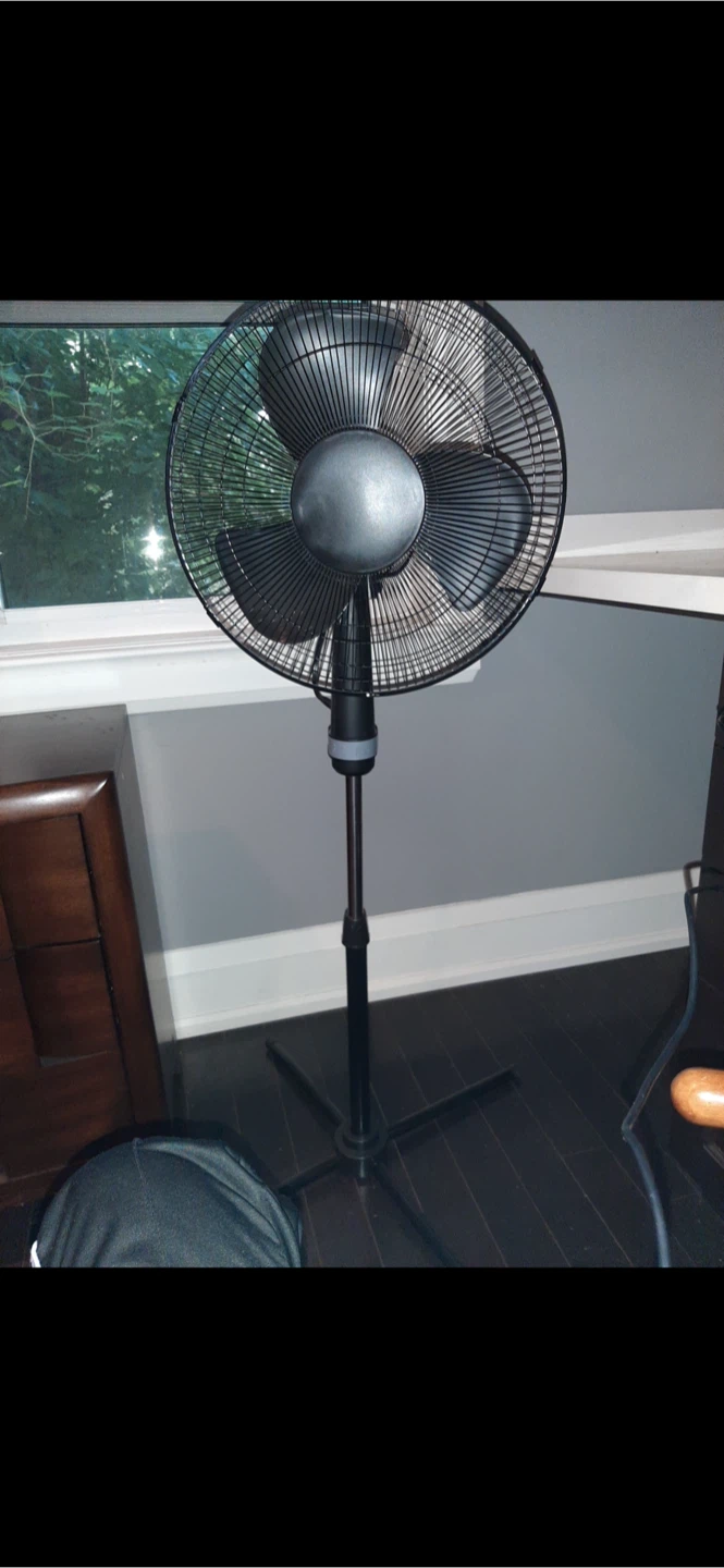 Black Standing Pedestal Fan