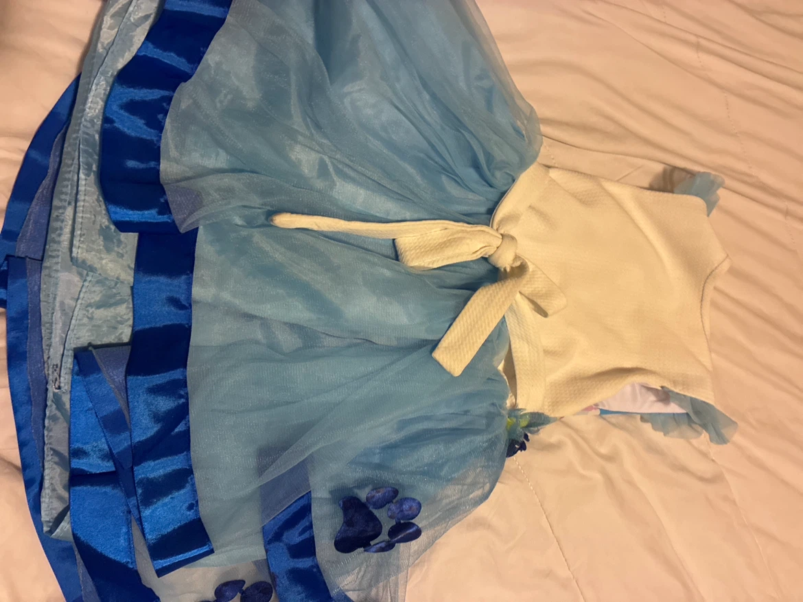 Bluey Character Dress - photo 3