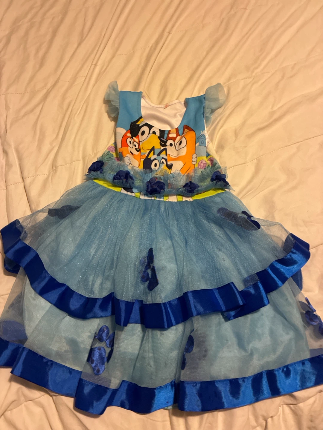 Bluey Character Dress