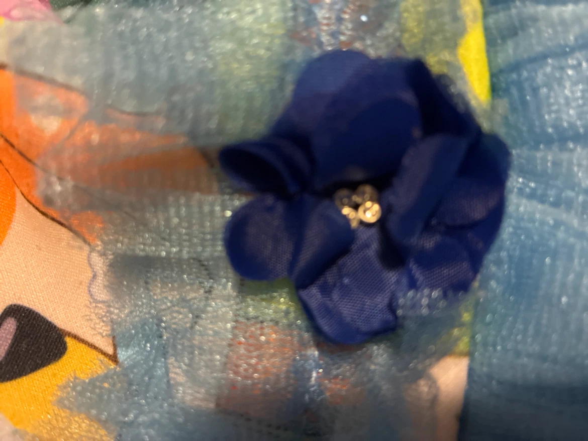 Bluey Character Dress - photo 4