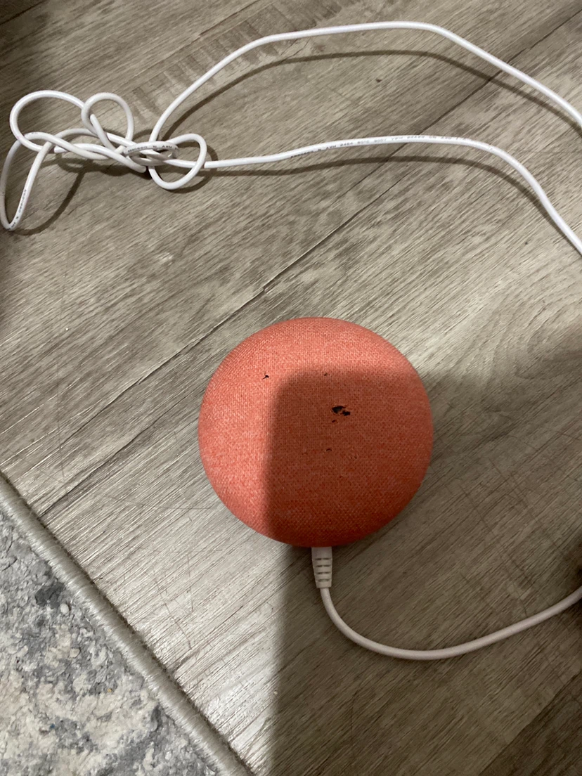 Google Nest Mini Smart Speaker