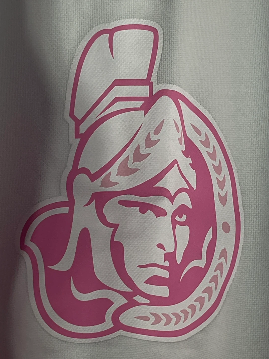 Ottawa Senators Reebok Pink Fashion Jersey  & Hand Towel Set - photo 2