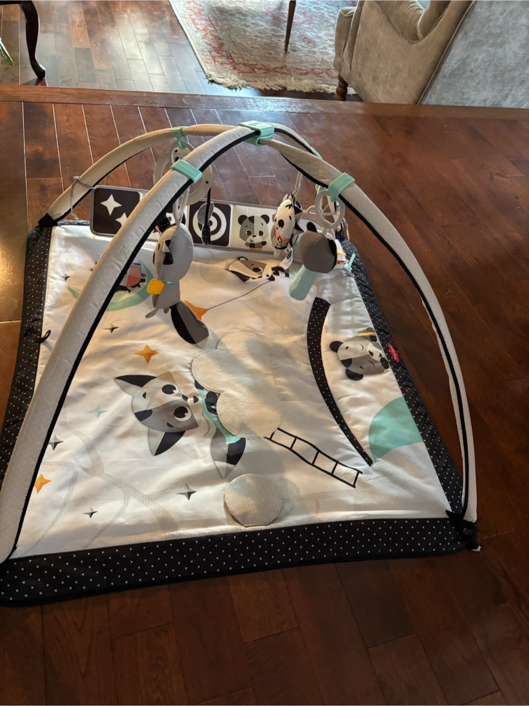 Tiny Love Baby Activity Gym