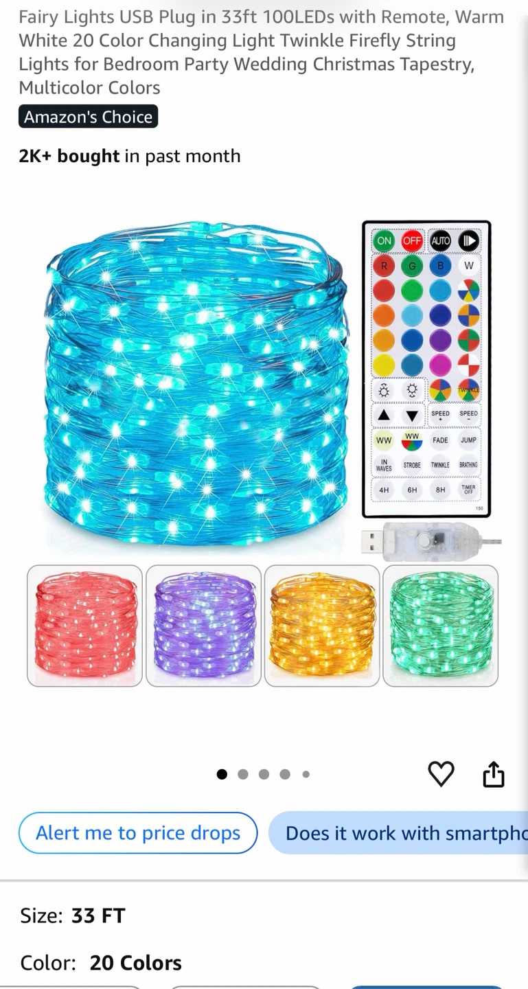33ft Multicolor Fairy Lights with Remote