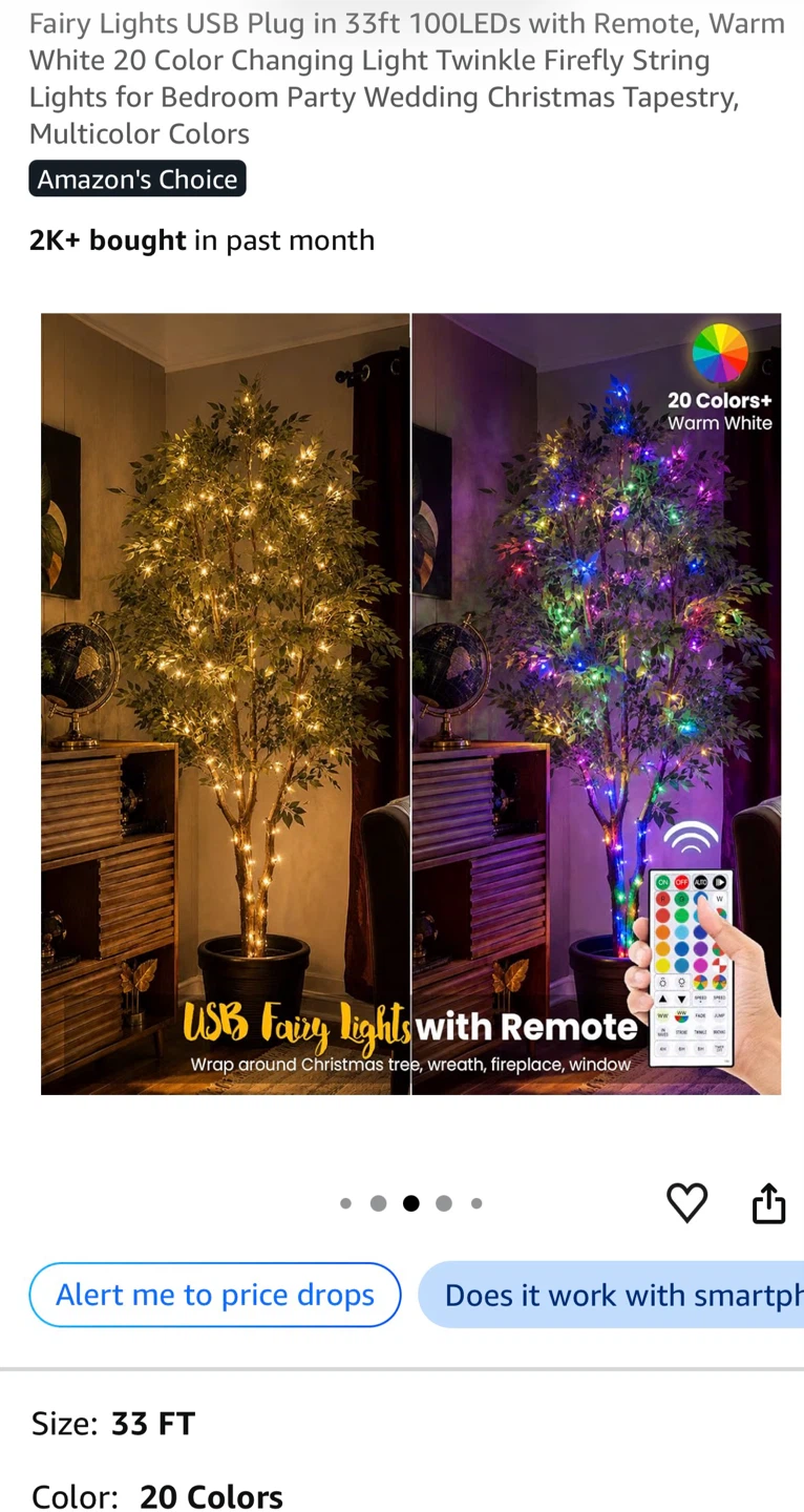 33ft Multicolor Fairy Lights with Remote - photo 2