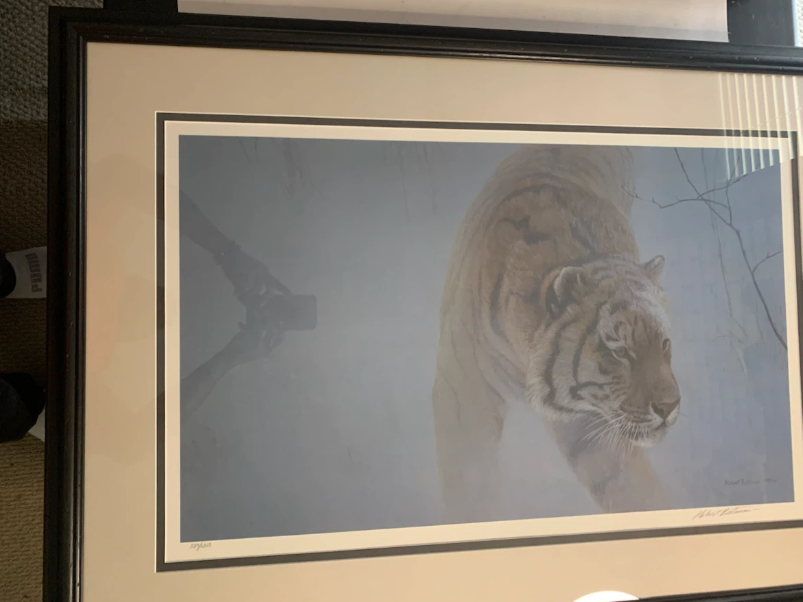 Robert Bateman Limited Edition “Twilight Siberian Tiger”