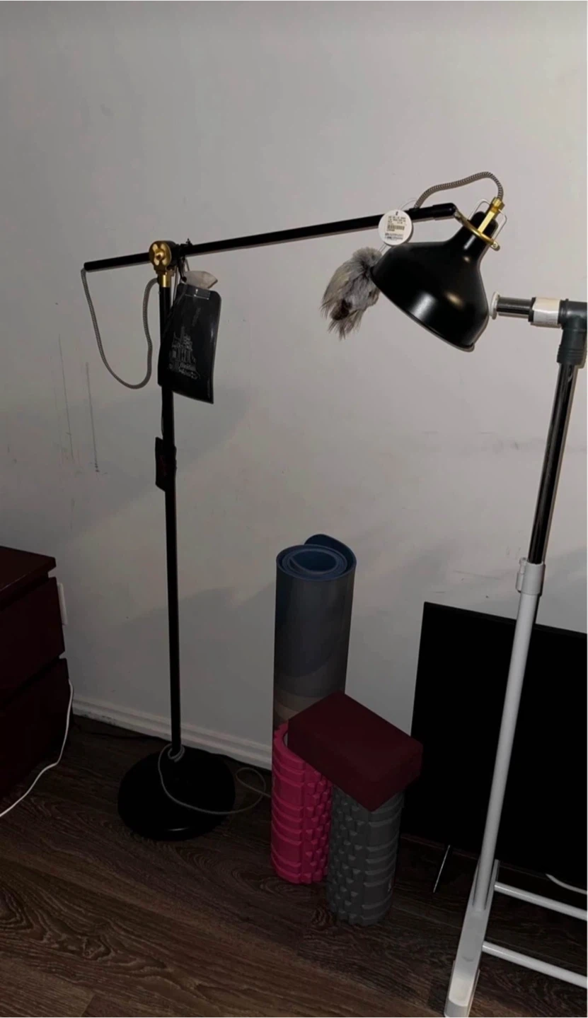 Black Swing Arm Floor Lamp