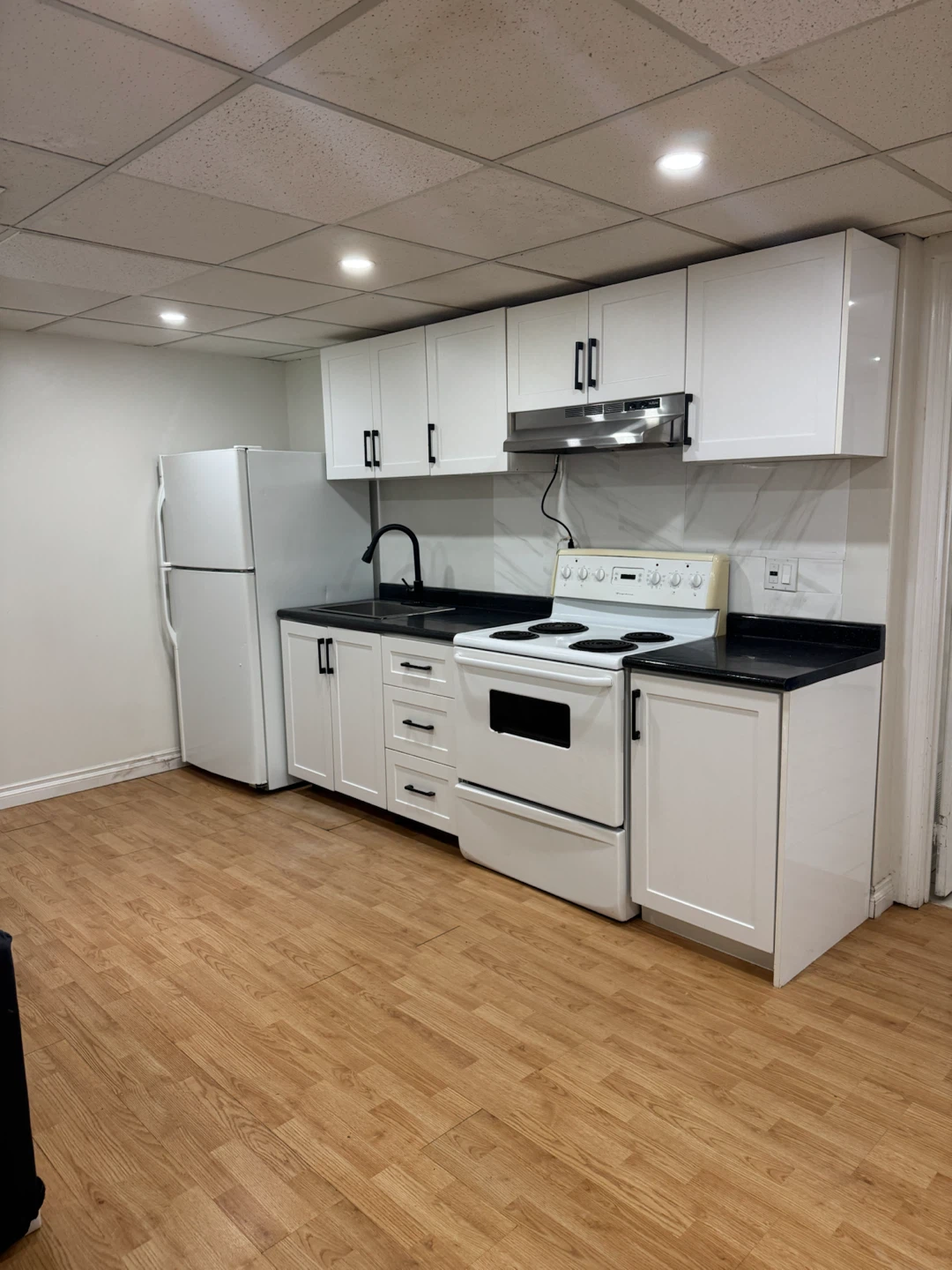 2 Bedroom 1 Bathroom Walkout Basement Unit - photo 2