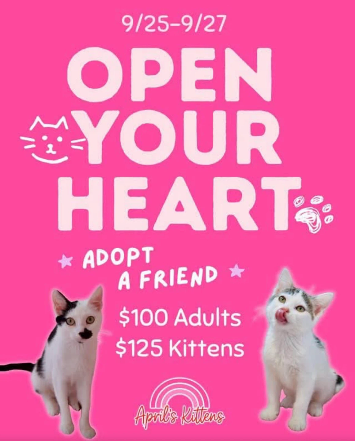 Aprils Kittens Cat Cafe in Forest Park!