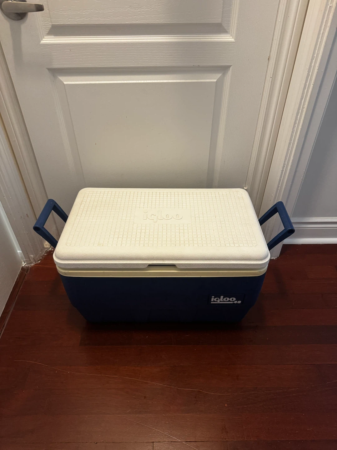 Igloo 48 Quart Cooler