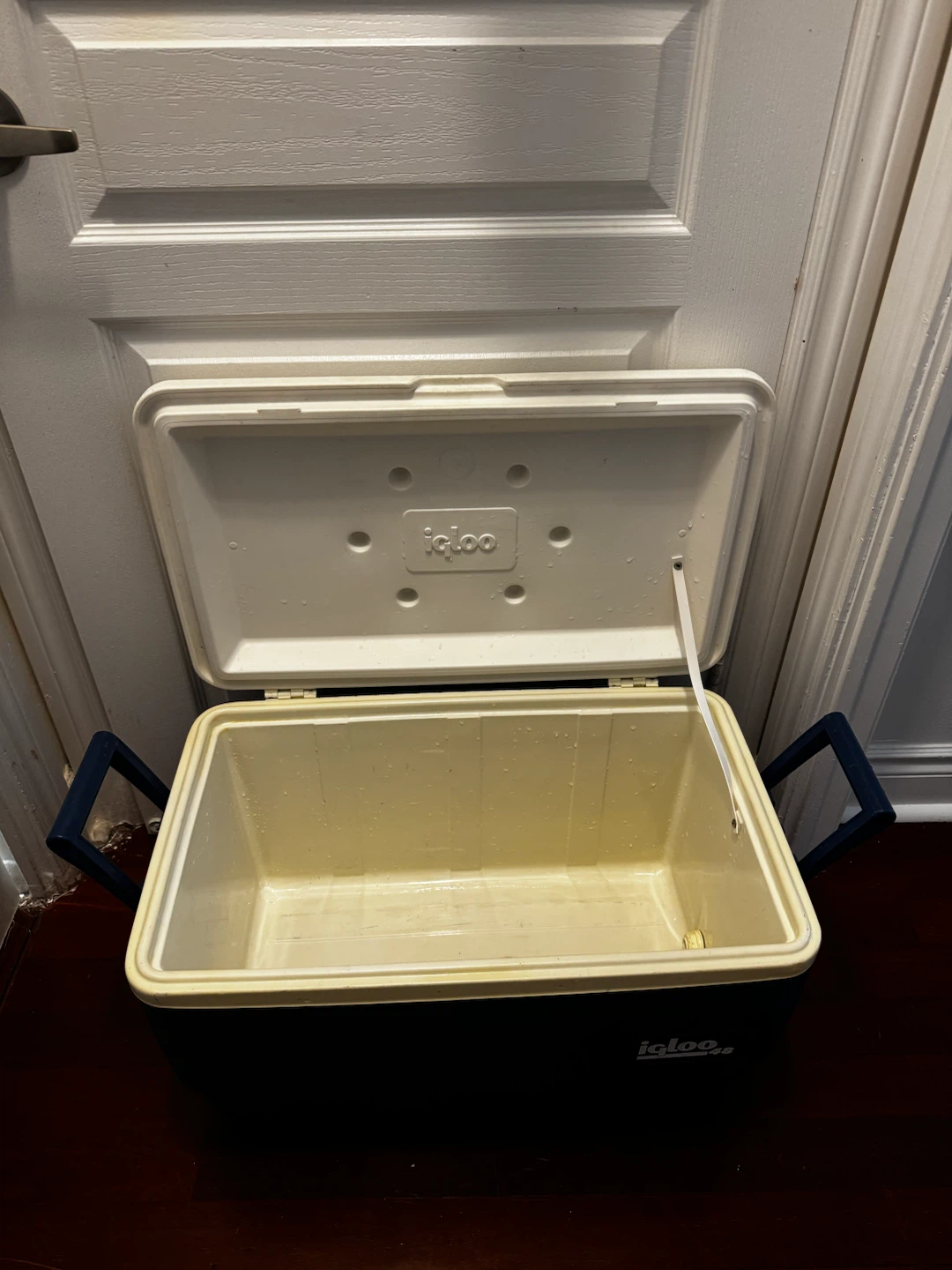 Igloo 48 Quart Cooler - photo 2