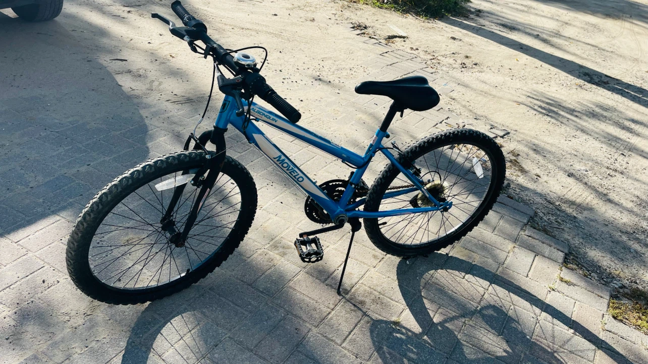 Movelo Algonquin Mountain Bike - photo 2