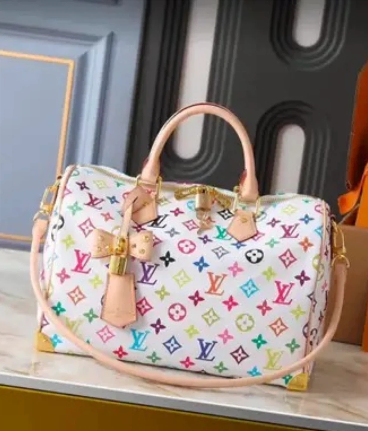 Louis Vuitton Multicolor Speedy Bag