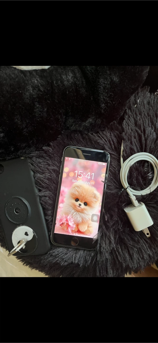 iPhone