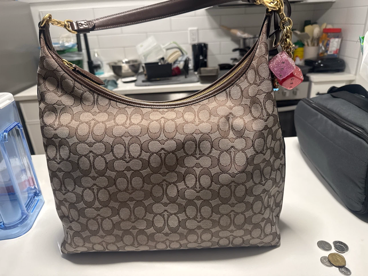 Coach Signature Hobo Bag with Dice Charm