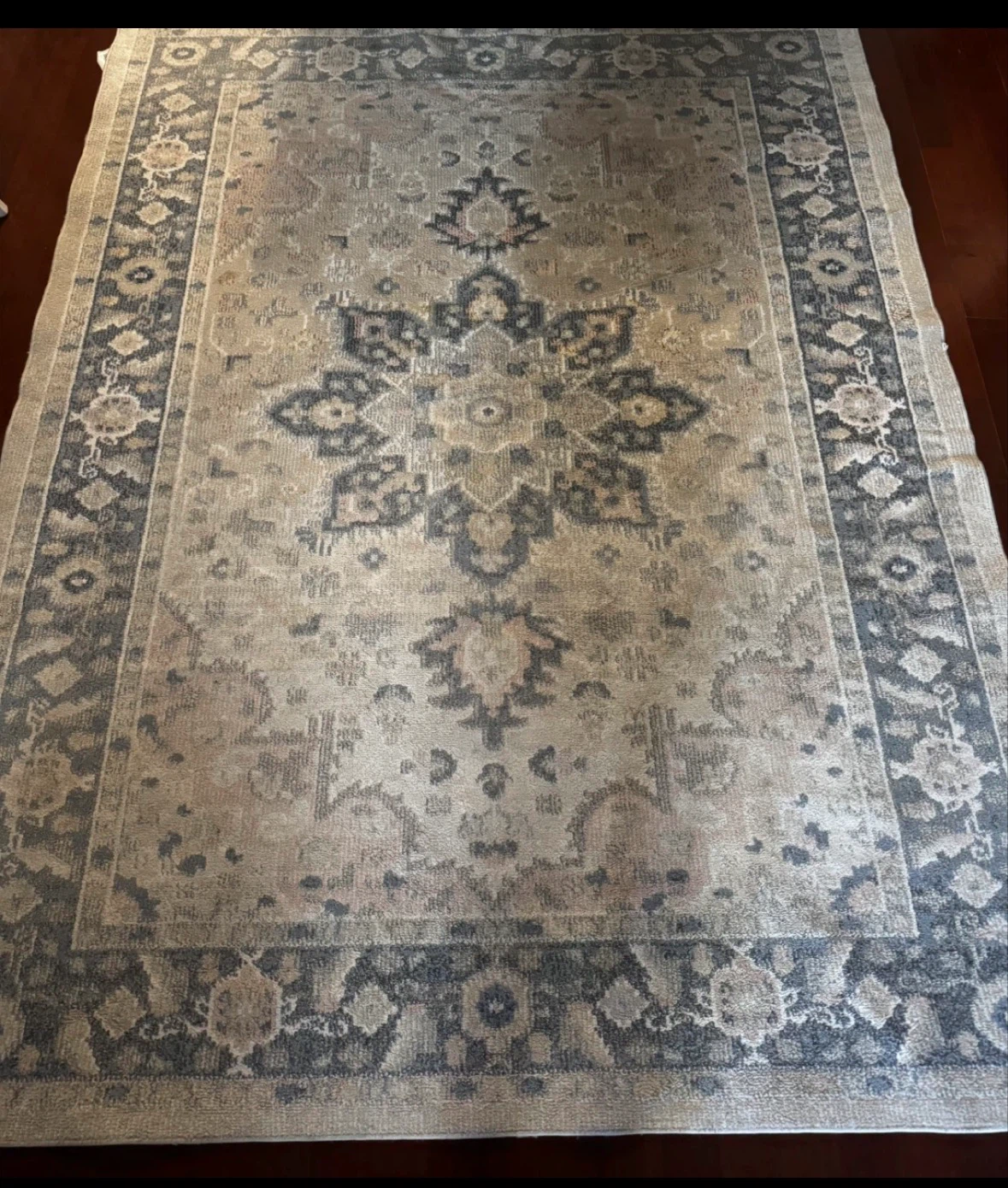 Large Traditional Style Area Rug