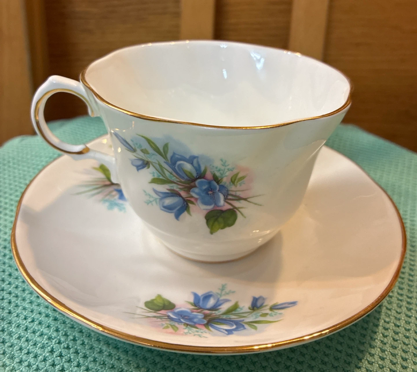 Vintage Queen's Rosina Fine Bone China Tea Cup and Saucer