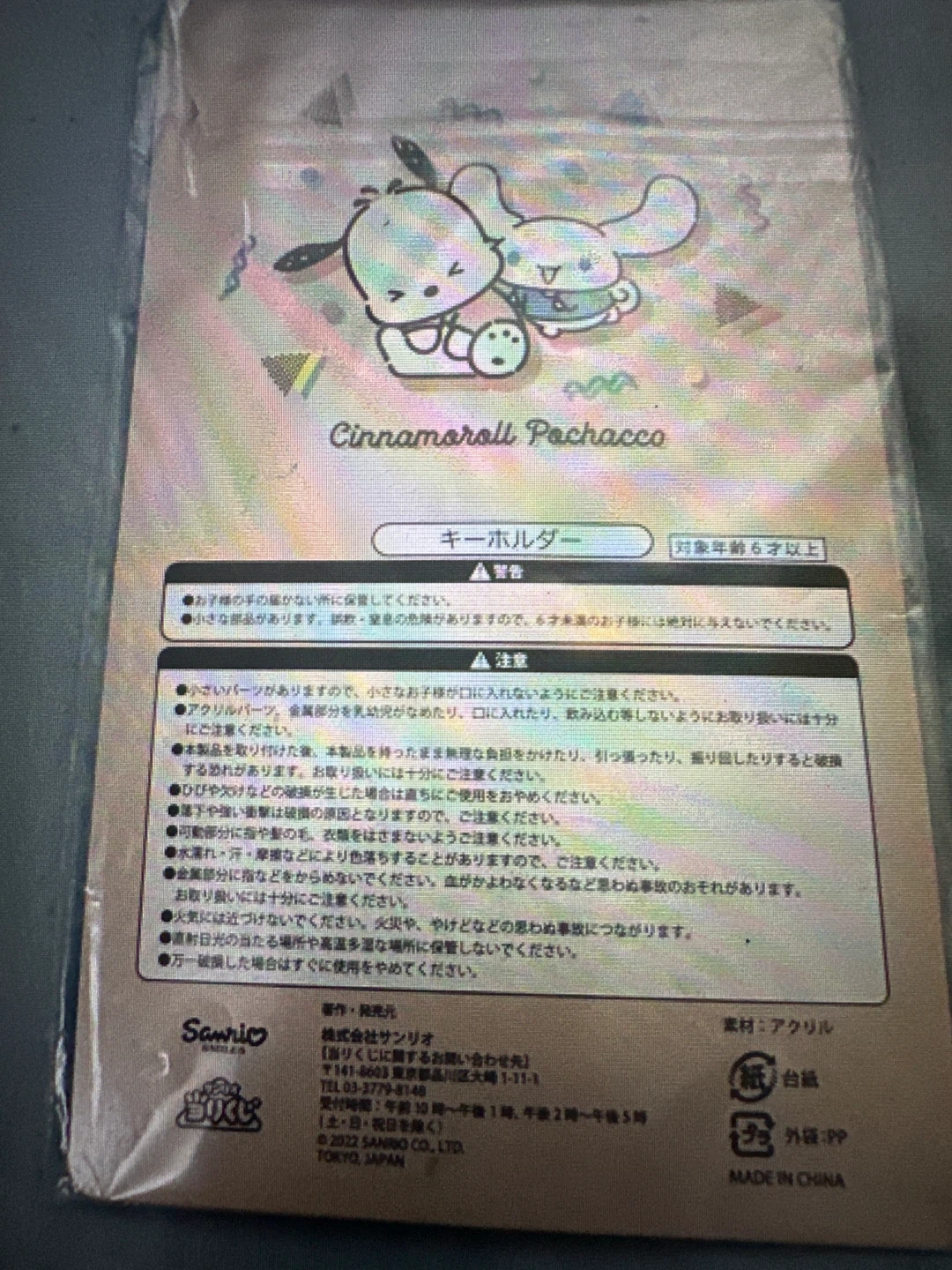 Sanrio Cinnamoroll and Pochacco Acrylic Keychain - photo 5