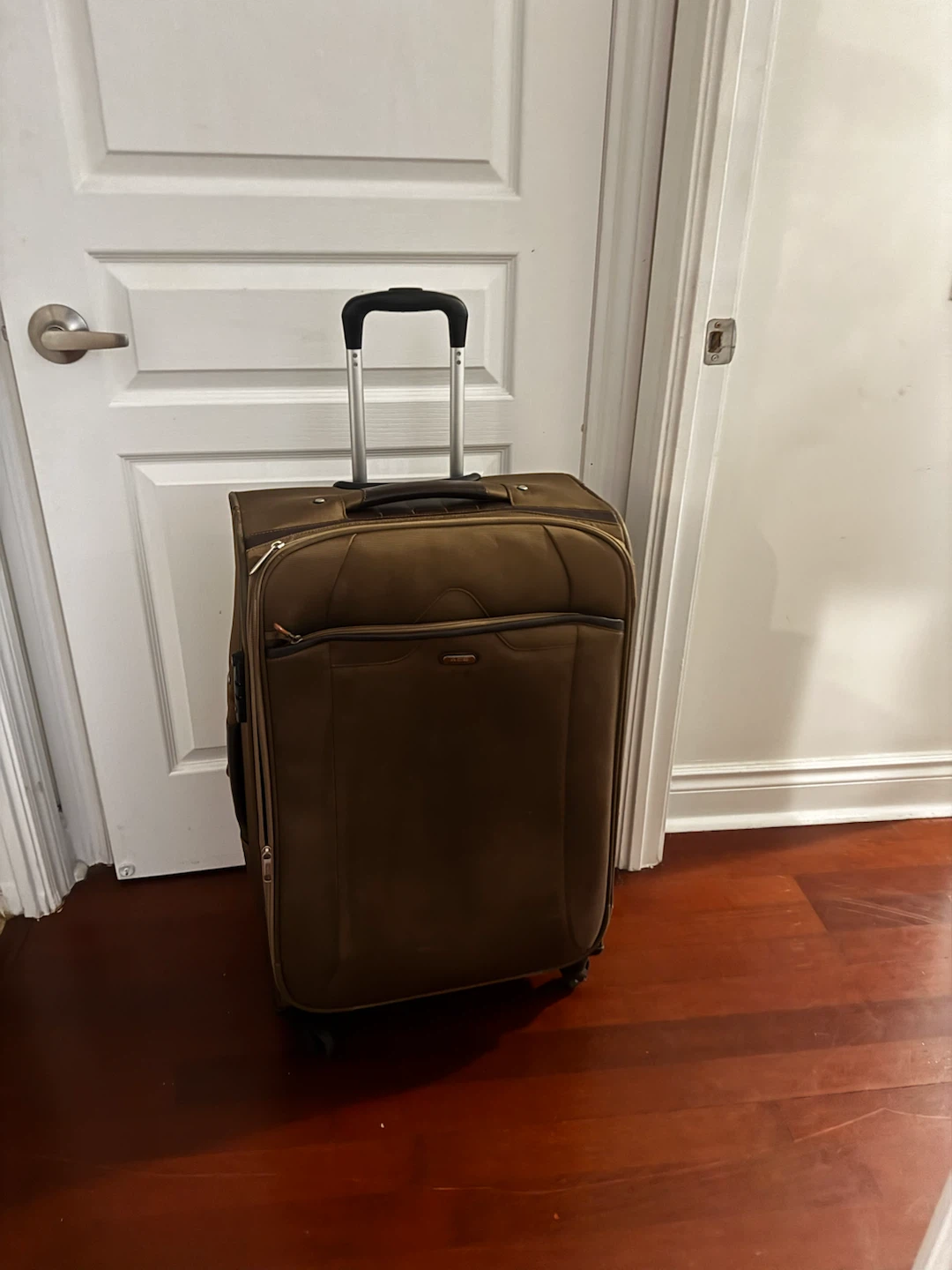 Ace Tokyo Designers Limited Suitcase