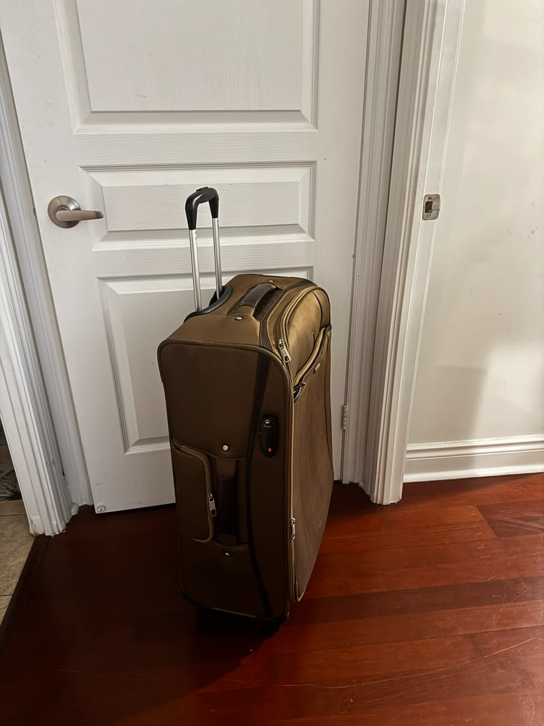 Ace Tokyo Designers Limited Suitcase - photo 2