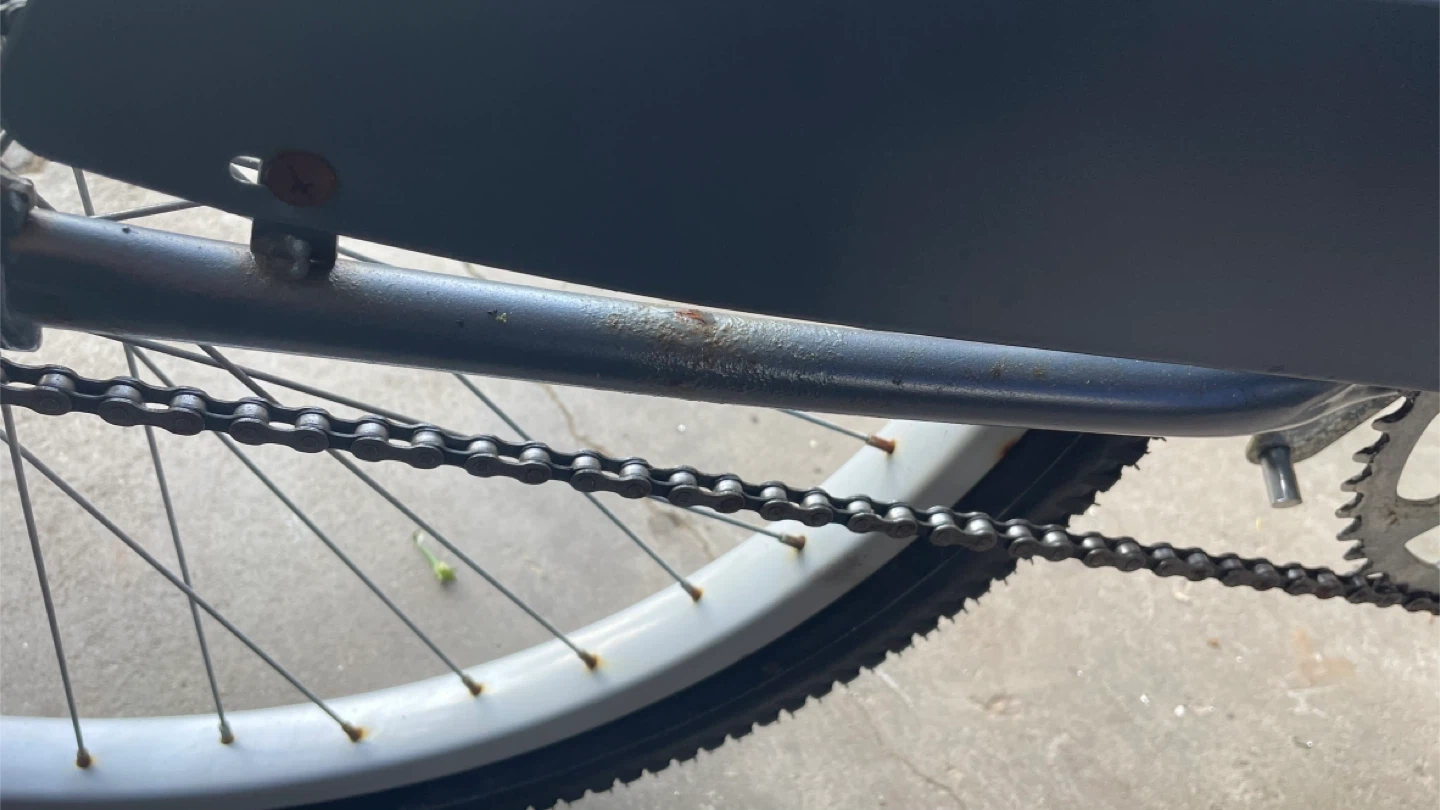 Supercycle Cruiser Bicycle - photo 4