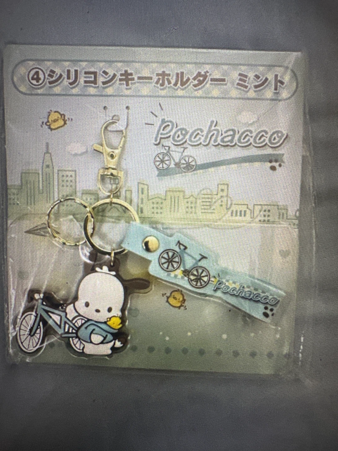 Sanrio Pochacco Silicone Keychain Mint