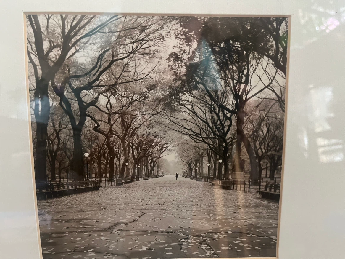Art- Poet’s Walk- Sepia Photo Print-  Central Park Framed Print