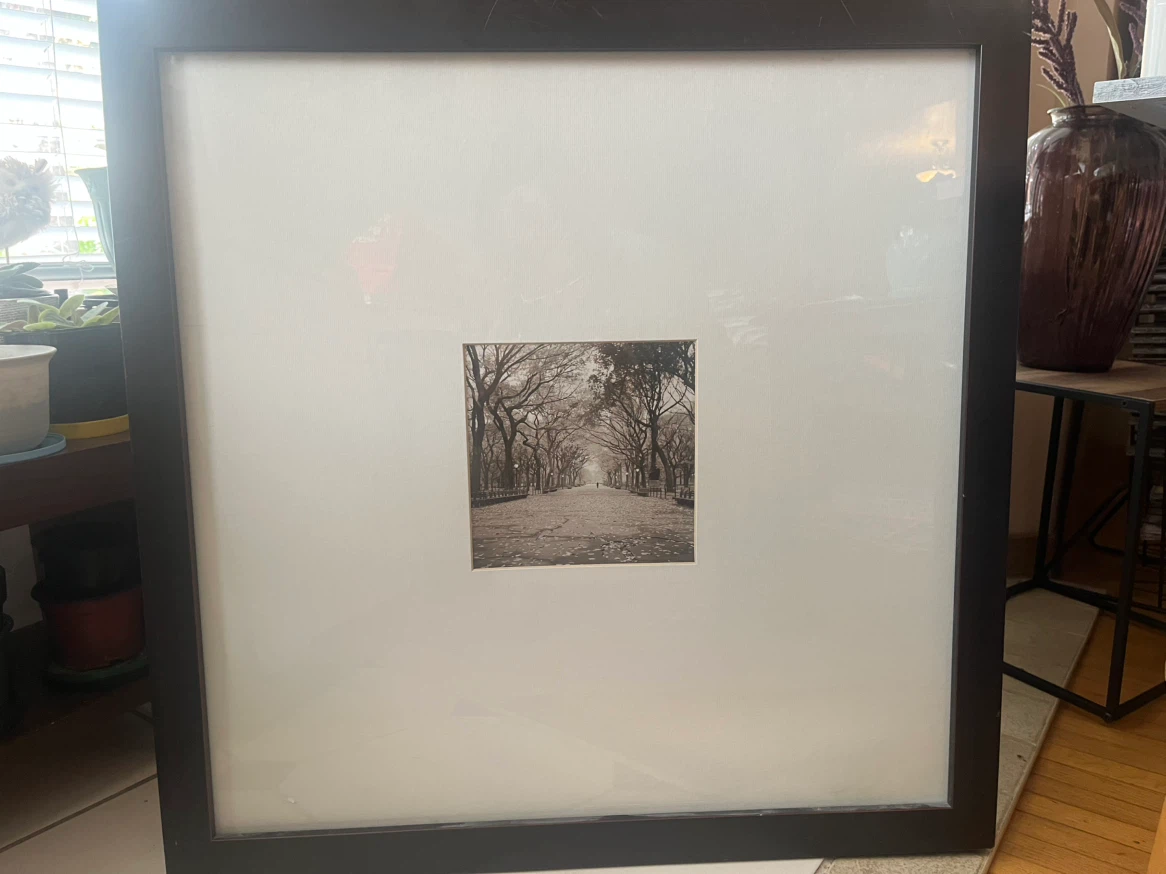 Art- Poet’s Walk- Sepia Photo Print-  Central Park Framed Print - photo 2