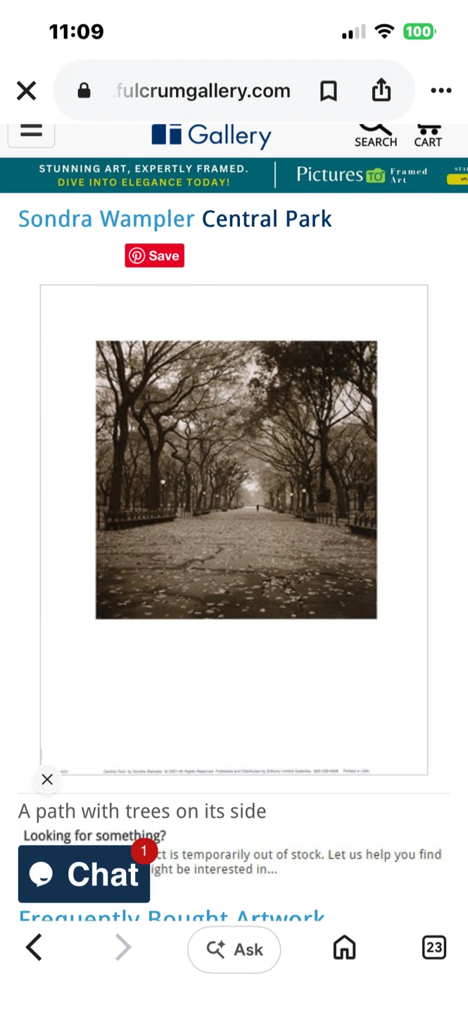 Art- Poet’s Walk- Sepia Photo Print-  Central Park Framed Print - photo 5