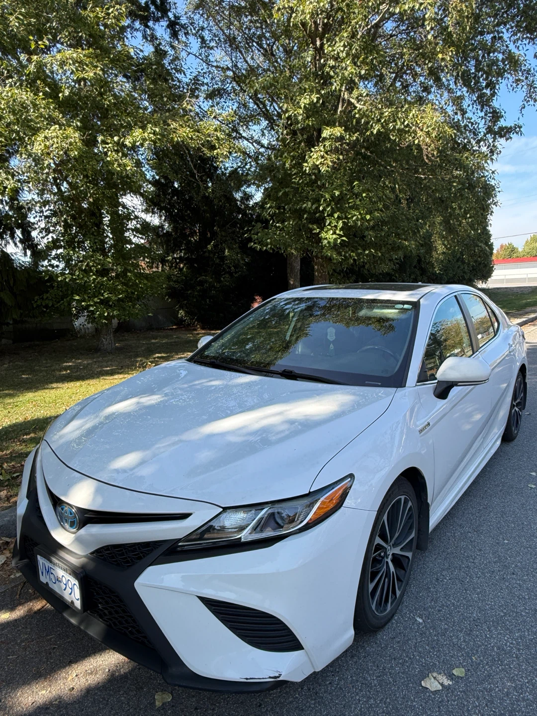 2019 Toyota Camry Hybrid SE-Clean Title