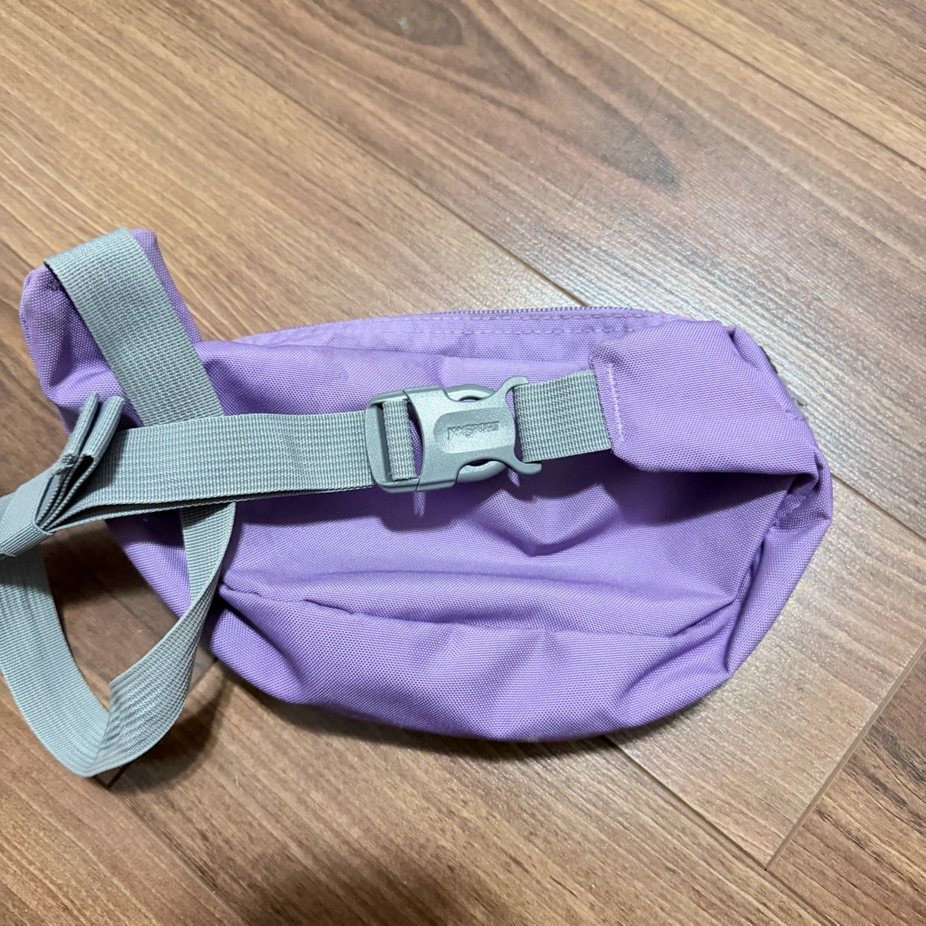 JanSport Fifth Avenue Waist Pack - photo 3