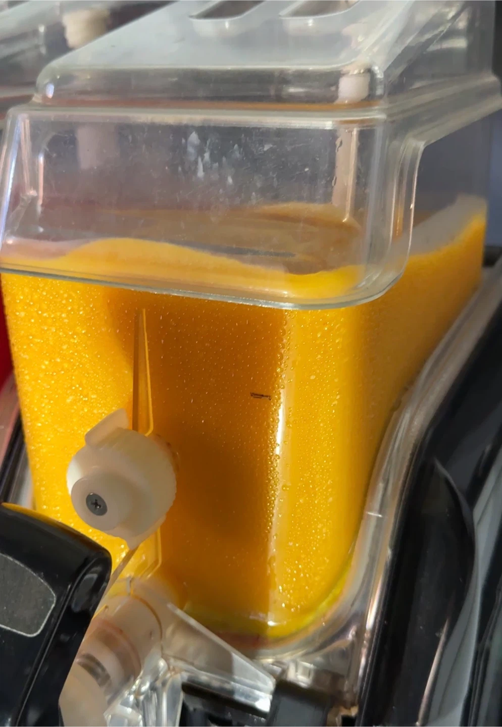 Stoelting CBD127-37 Frozen Beverage Dispenser